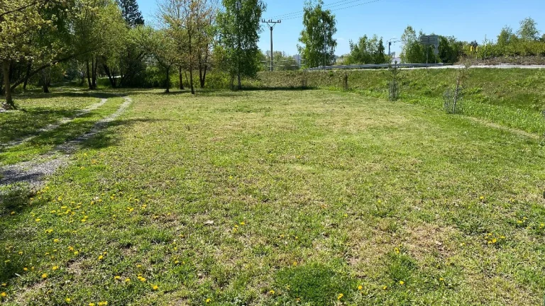 Pozemek louka - Veselí nad Lužnicí