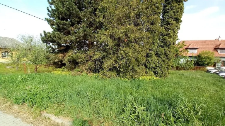 Prodej pozemku 308 m² - Blansko - Těchov