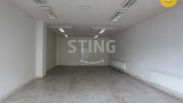 Pronájem nebytových prostor 78 m2, 1250 Kč m2/rok be, 125546