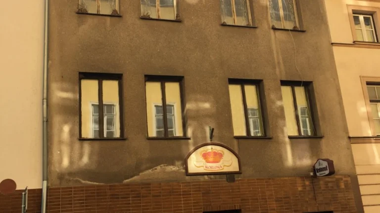 Pronájem nebyt. prostor v Hostinném