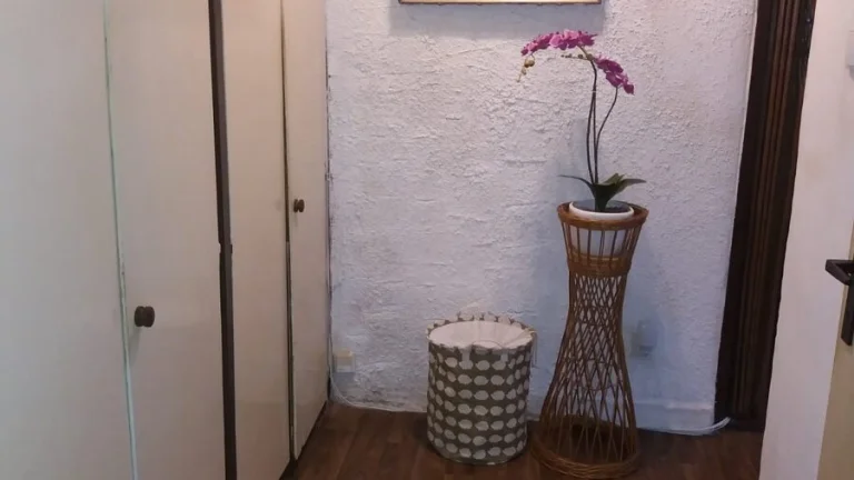 1+1ul Hašková Karviná Ráj