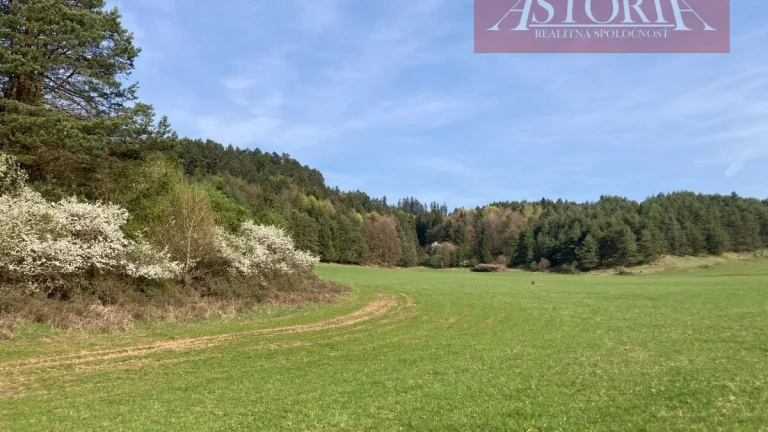 Lesný pozemok na predaj - Rudno
