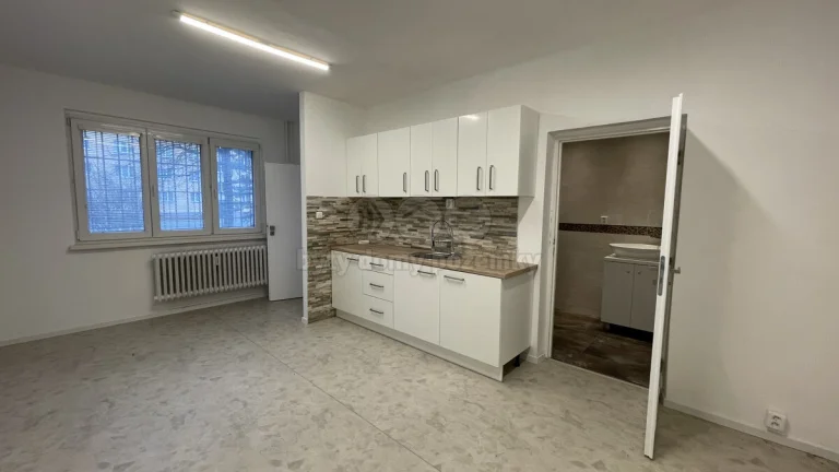 Pronájem nebytových prostor, 46 m², Karviná - 4, ul. Prameny