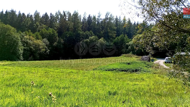 Prodej louky, 11196 m², Chyňava