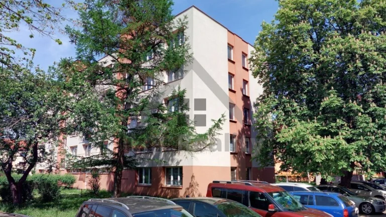Byt 1+1, 39,3 m2, Puklicova ul., České Budějovice
