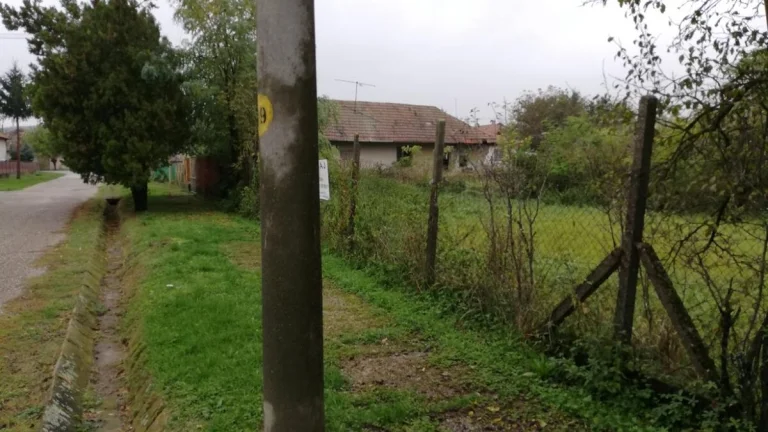 Predaj rodinného domu v obci Malé Kosihy