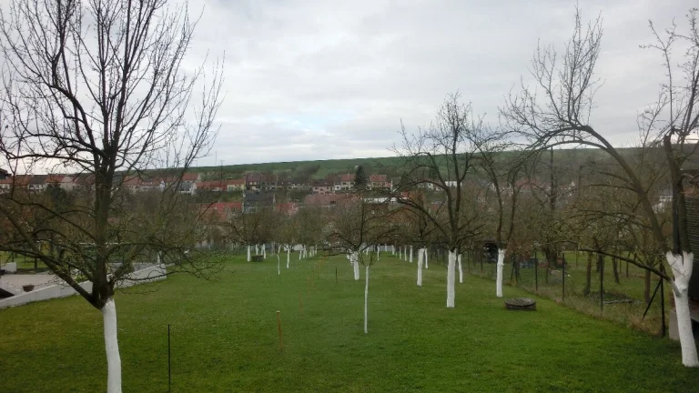Pozemek k bydlení 298m2, Vlčnov