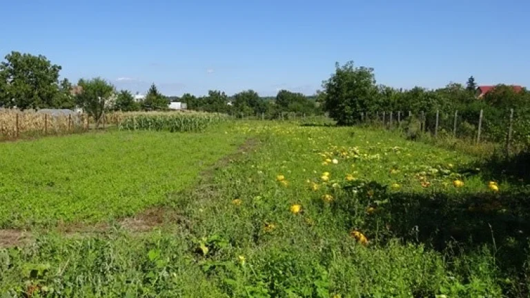 EXKLUZÍVNE, PEKNÝ 9,5á STAVEBNÝ POZEMOK LÚČNICA NAD ŽITAVOU