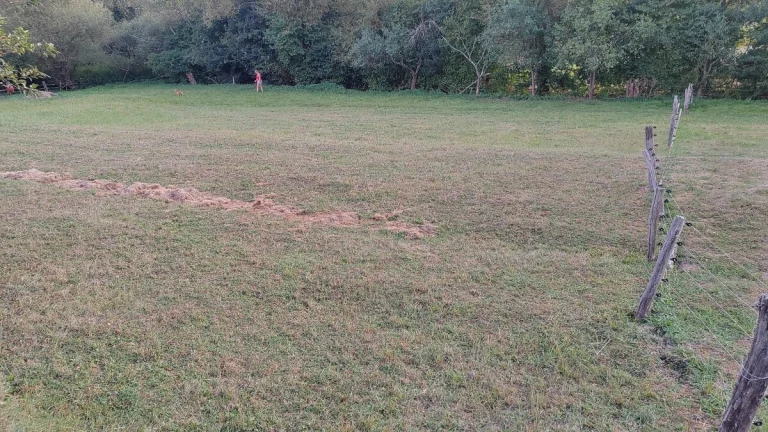 Predám pozemok
