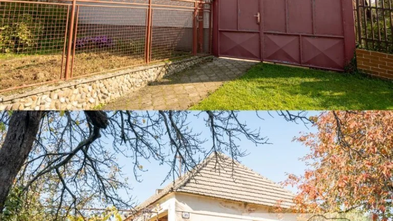 súbor nehnuteľností Šintava s veľkým pozemkom a dvoma RD