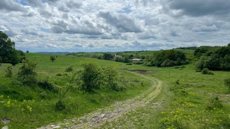 Predám 10ha pôdy v celku v obci Dačov Lom (okr. Veľký Krtíš)