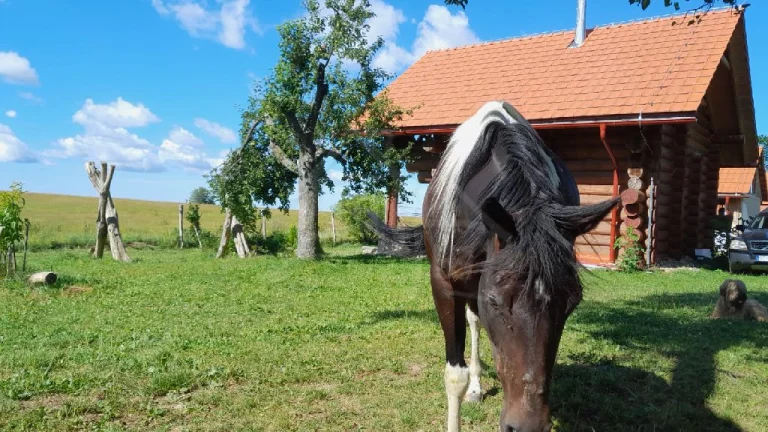 NOVÁ CENA -Váš vysnívaný zrub v pokojnom prostredí lazov