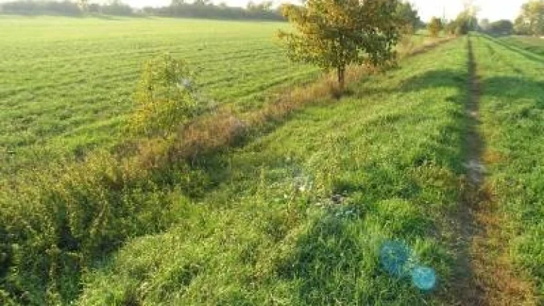 PK21-Rozľahlý pozemok v Komárne časť Ďulov Dvor