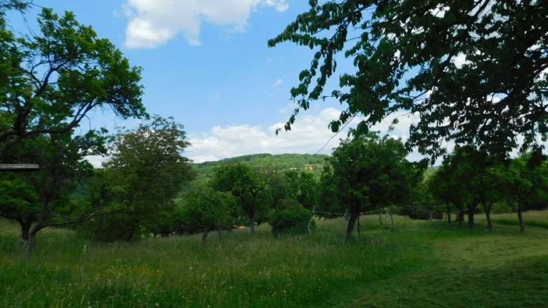 Na predaj 5 samostatných parciel na chatky, pre včelárov