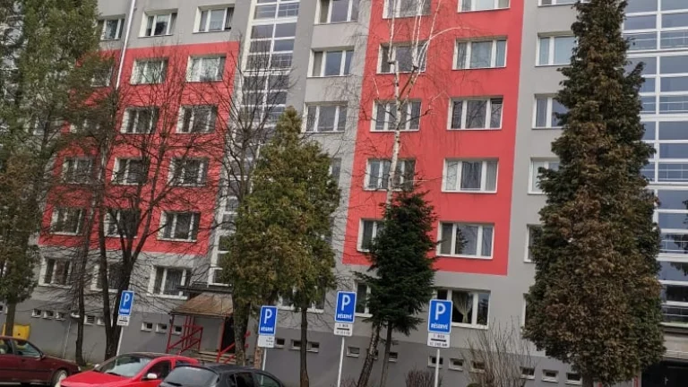 2 izbový po kmpletnej rekonštrukcii