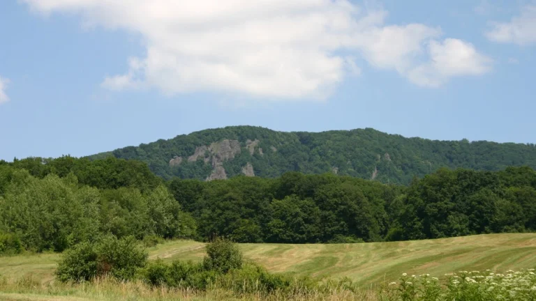 Prešov - 400 m2 ORNÁ PôDA