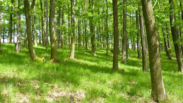 ✅NOVINKA✅ NA PREDAJ PODIELY V URBÁRI KRÍŽE, OKRES BARDEJOV