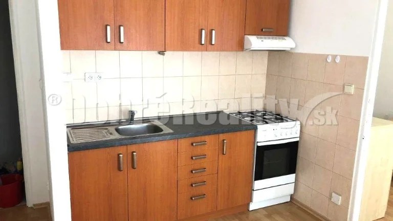PREDAJ: VEĽKÝ 1 IZBOVÝ BYT BEZ BALKÓNA, CENTRUM