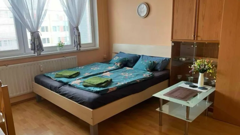 Prenájom 1 izboveho bytu - krátkodobo denne