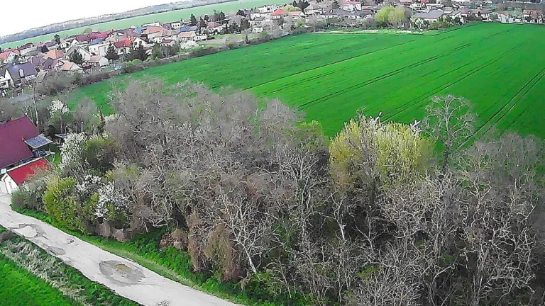ELIÁŠOVCE okres Dunajská Streda - NA PREDAJ pozemok na konci