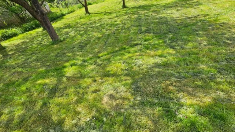 Slnečný pozemok pre rodinný dom DOHODA NA CENE MOŽNÁ