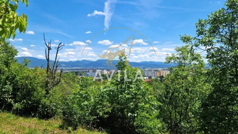 Na predaj rekreačný pozemok 2 920 m², Nové Mesto nad VáhomLo