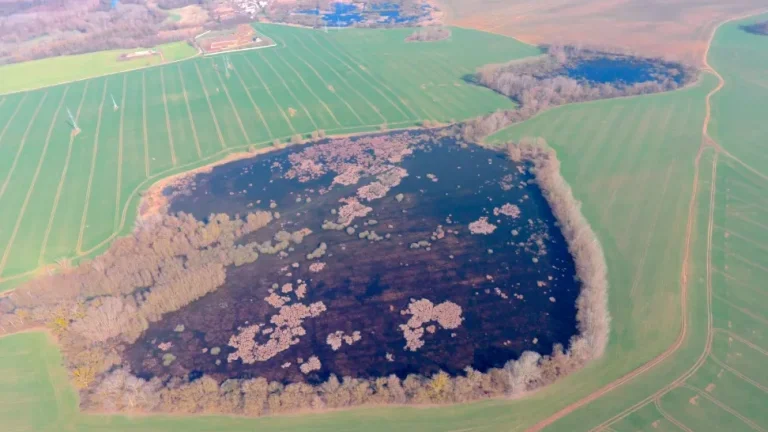 Ižkovce - 3.850 m2 ORNÁ PôDA a LESY v podiele 1/3