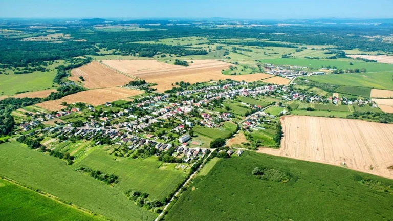 Čičarovce - 5.000 m2 LESNÝ POZEMOK v podiele 1/1