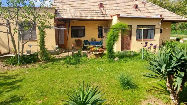 VIVAREAL Rodinný dom s veľkým pozemkom, 2 237 m2, 15 km od