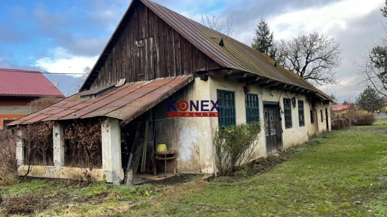 Dva staršie domy s veľkým pozemkom pri centre Michaloviec.