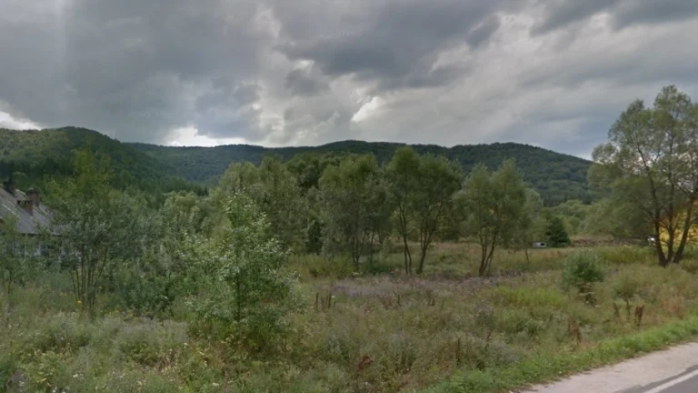Na predaj pozemok/ orná pôda – Topoľany.