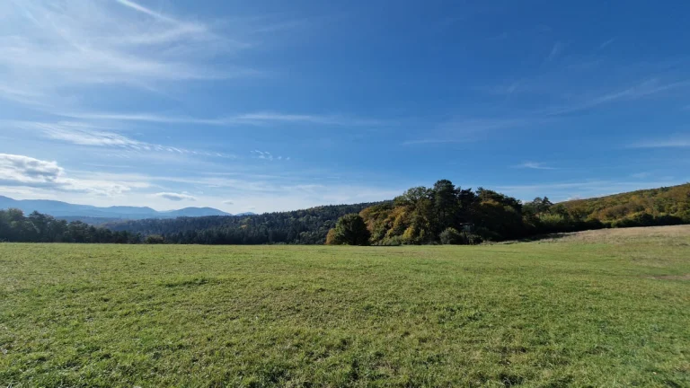 IBA U NÁS Na predaj  pozemok, Rybárikov Laz, Pov. Bystrica