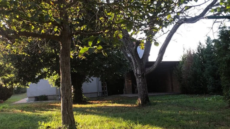 PREDAJ 4 izbový rodinný dom v meste Šurany – Kostolný Sek.