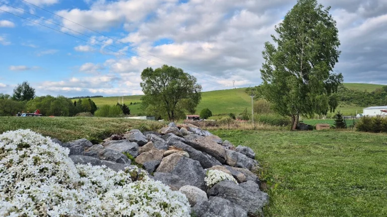 Stavebný pozemok s výhľadom na Nízke Tatry– 600m², Gôtovany