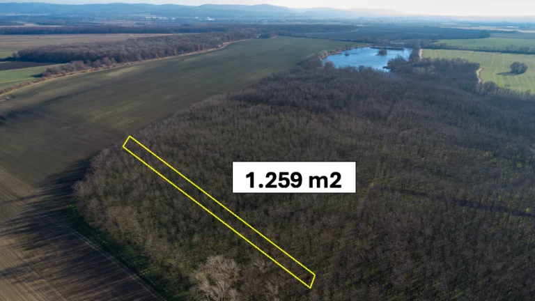 Vysoká pri Morave – 1.259 m2 LES podiel 1/1 – Predaj
