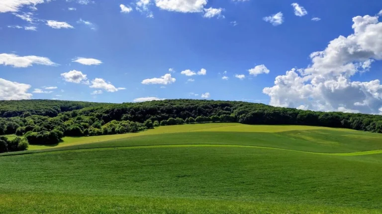 Podkylava – 614 m2 LESY a PÔDA – PREDAJ