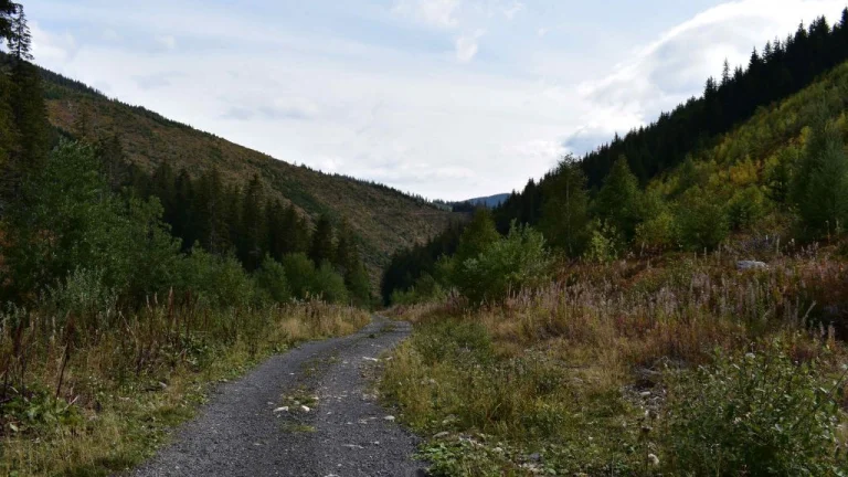 Prievidza – 10.169 m2 LES (Urbár) – PREDAJ
