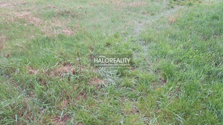 HALO reality - Predaj, pozemok pre rodinný dom 676 m2 Cífe