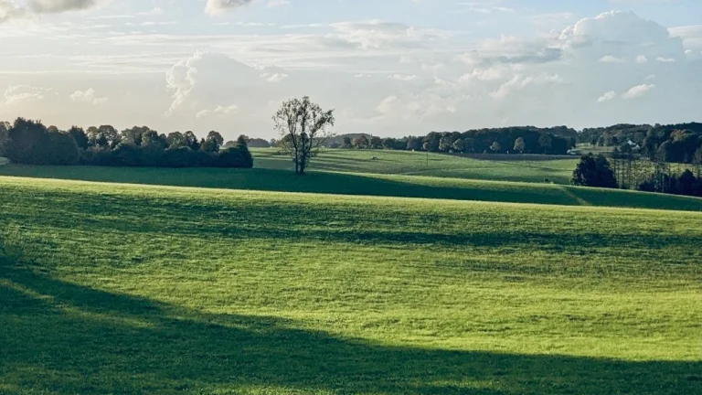 Chľaba – Trvalý trávnatý porast 1566/23