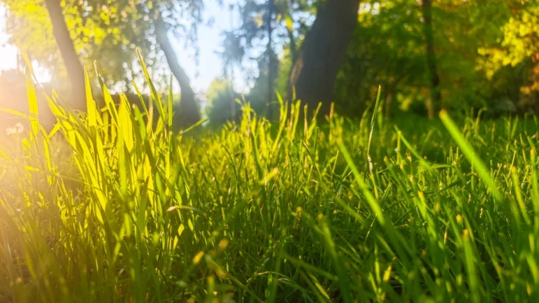 Predaj lukratívneho pozemku pod hradom, pri rieke Nitra