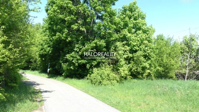 HALO reality - Predaj, pozemok 5834 m2 Trnava, zaujímavý i