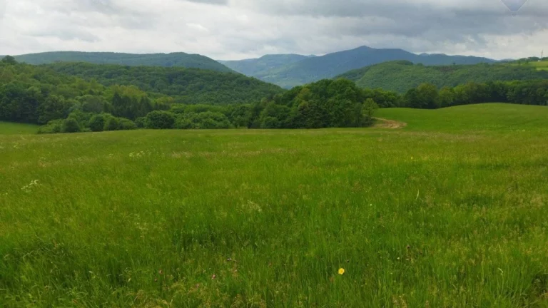 Znížená cena - Predaj pozemku 4708 m2, Budička pri Zvolene