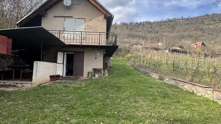 ZNÍŽENÁ CENA - Záhradná chatka s vinicou v obci Hrušov