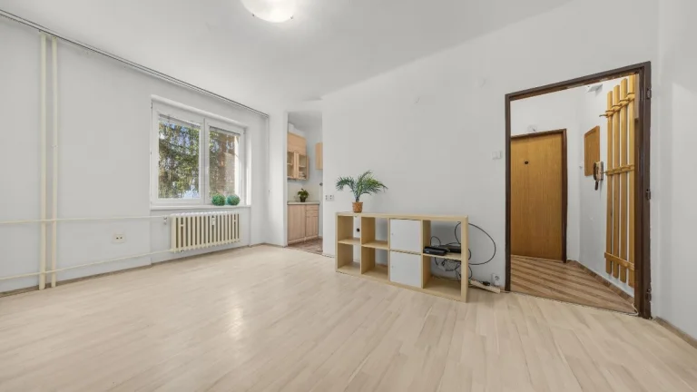 SVETLÁ GARSÓNKA, MUROVANÁ PIVNICA, NÍZKE NÁKLADY, OSTREDKY