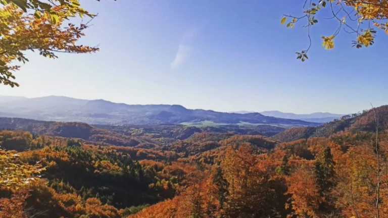 Hoštiná - 5.262 m2 Lesy a Orná pôda - NA PREDAJ