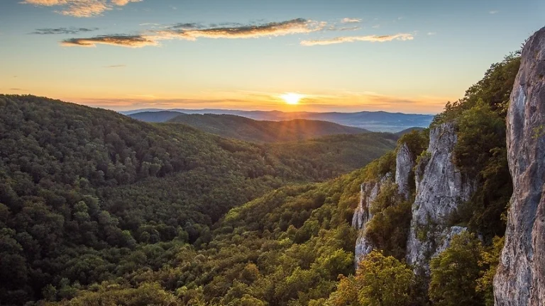 Dubnica nad Váhom – 374 m2 LES a PÔDA - PREDAJ