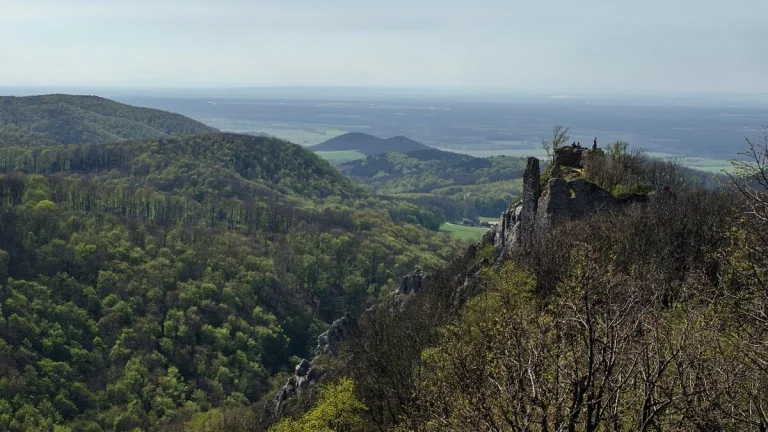 Dubnica nad Váhom, Prejta – 6.061 m2 LES (Urbár)