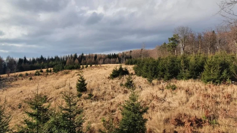 Malá Čausa – 709m2 ORNÁ PÔDA a LES - Na predaj