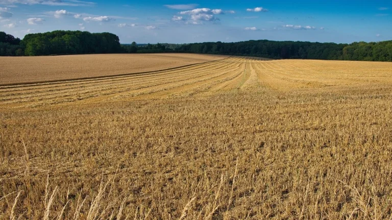Veľké Uherce – 1.649 m2 ORNÁ PÔDA – Na predaj