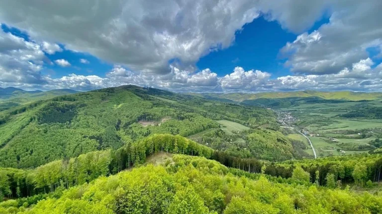 Mostište – 14.537 m2 LESNÉ POZEMKY